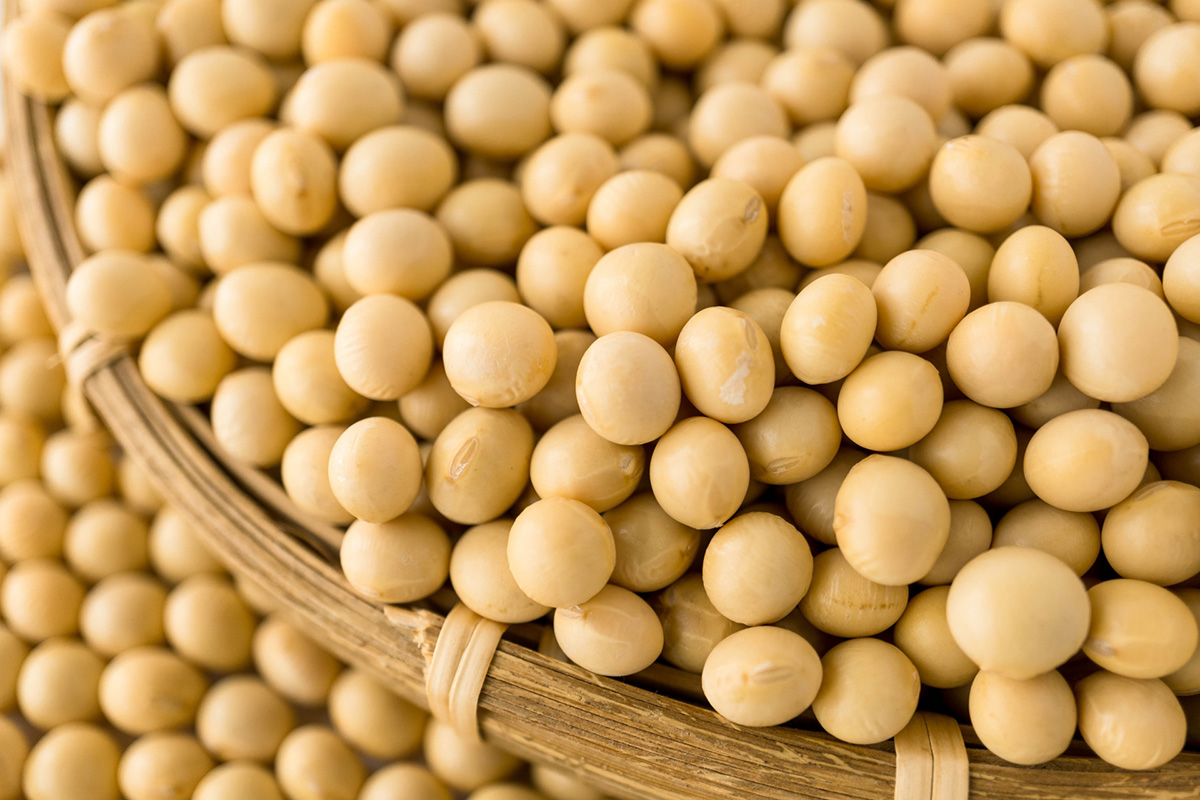 natto2